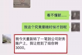 德清为什么选择专业追讨公司来处理您的债务纠纷？